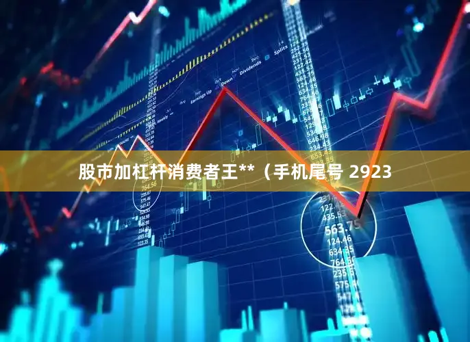股市加杠杆消费者王**（手机尾号 2923
