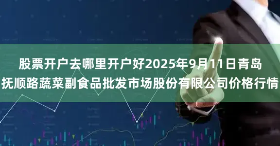 股票开户去哪里开户好2025年9月11日青岛抚顺路蔬菜副食品批发市场股份有限公司价格行情